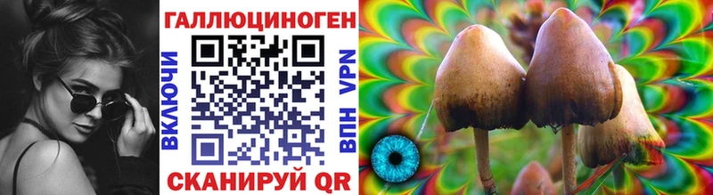Галлюциногенные грибы ЛСД  Чегем 
